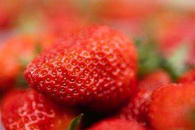 Close-up of strawberries