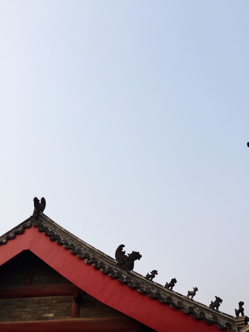bird, animal themes, animals in the wild, low angle view, wildlife, clear sky, perching, copy space, built structure, architecture, flying, building exterior, one animal, two animals, pigeon, roof, sky, three animals, avian, outdoors