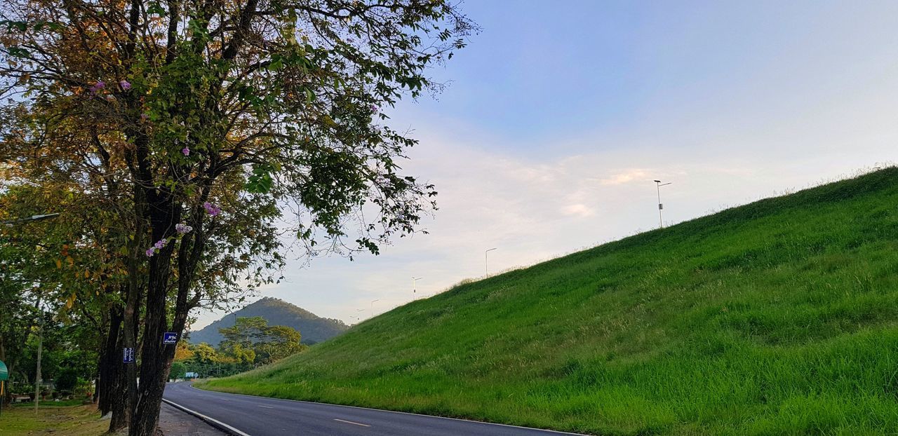 ROAD BY TREES ON LANDSCAPE AGAINST SKY