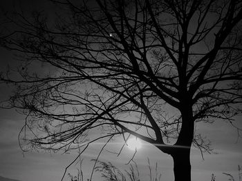 Low angle view of silhouette bare tree against sky