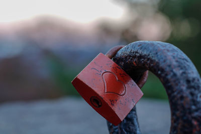 Close-up of padlocks on metal railing