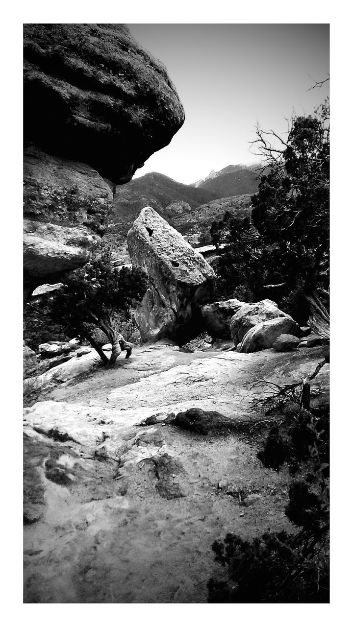 SCENIC VIEW OF ROCKS AND TREES ON ROCK