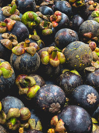 Full frame shot of blueberries