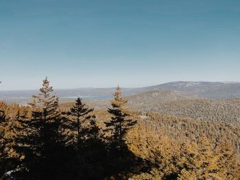 Scenic view of landscape against clear blue sky