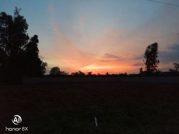 Silhouette trees on field against sky during sunset