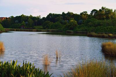 Scenic view of lake against sky