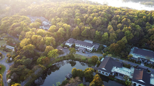 High angle view of trees and buildings