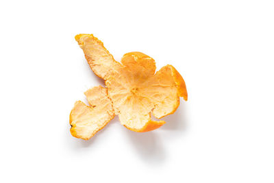 Close-up of orange fruit against white background