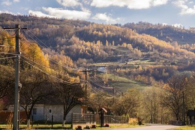 Panoramic shot of trees on landscape against sky