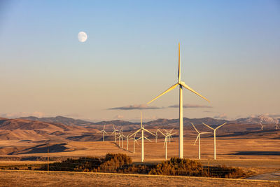 Wind turbines in a field with clear sky and the moon