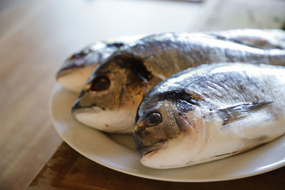 Close-up of fish in plate