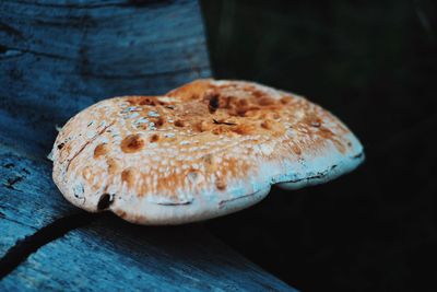 Close-up of mushroom on table