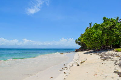 Scenic view of sea against blue sky