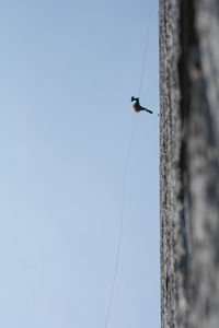 Low angle view of person climbing wall against clear blue sky