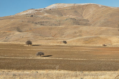 Scenic view of field by mountain against sky