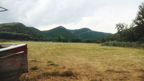 Scenic view of field against sky