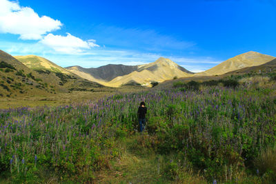 Rear view of woman standing amidst plants on land against sky