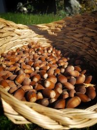 High angle view of eggs in basket