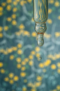 A dripping pipette with a drop of cosmetics gel.