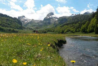 Scenic view of landscape with mountain range in background