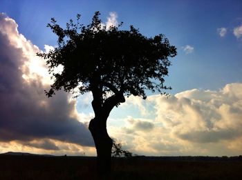 Silhouette of trees against cloudy sky