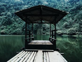 View of pier on lake in forest