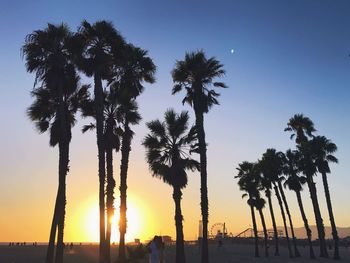 Low angle view of silhouette palm trees against clear sky