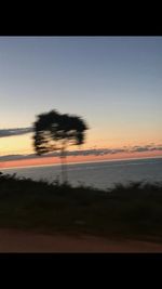 Scenic view of silhouette trees against sky during sunset