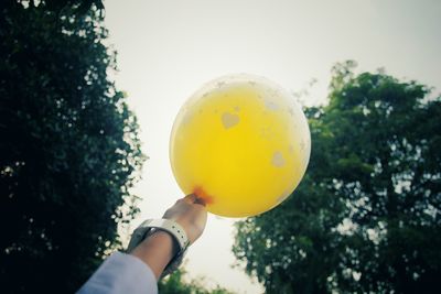 Cropped hand holding yellow balloon against trees and sky