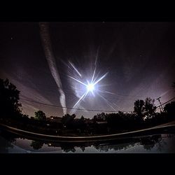 Low angle view of trees against sky