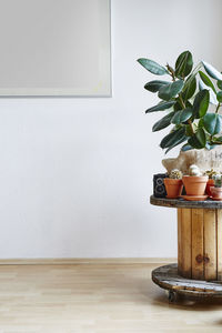 Potted plant on table against wall at home