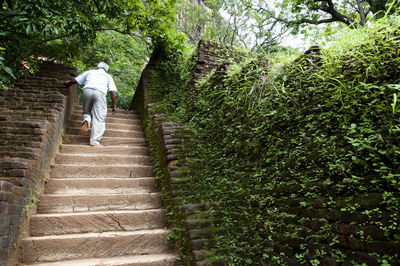 Rear view of man walking on staircase