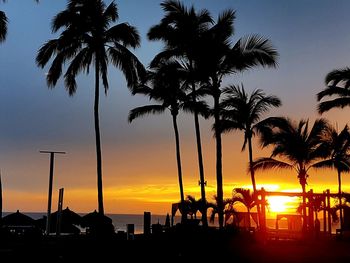 Silhouette of palm trees at beach during sunset