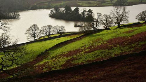 Scenic view of landscape