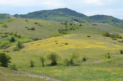 Scenic view of landscape against sky