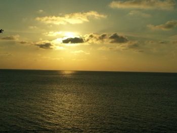 Scenic view of sea at sunset