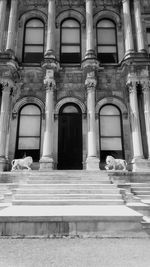 Architectural columns in old building