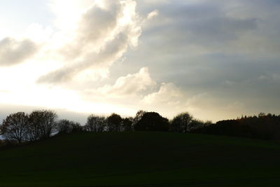 Trees against sky