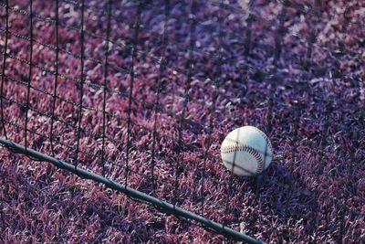 High angle view of baseball on field