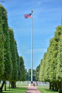 Red flag amidst trees against sky