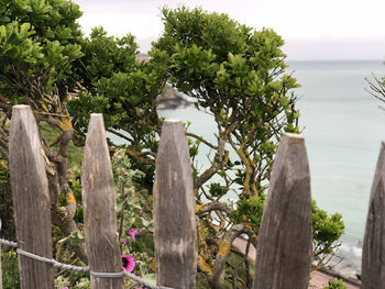 Wooden fence by trees against sky