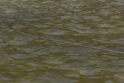 Full frame shot of rippled water