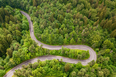 Aerial view of winding road in high mountain pass trough dense green pine woods.