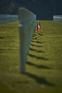 People on footpath by fence on field