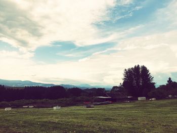 Scenic view of field against sky