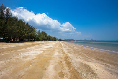 Scenic view of beach against blue sky