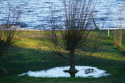 Scenic view of stream amidst trees during winter