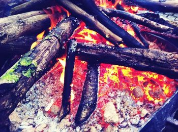 Close-up of autumn leaves