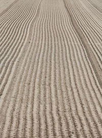 Full frame shot of sand dune