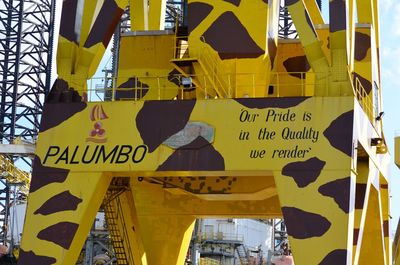 Low angle view of yellow sign on built structure